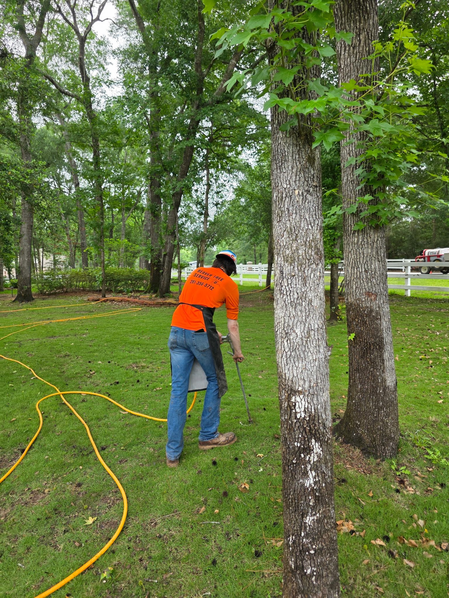 A worker applies deep tree root fertilization in a green yard surrounded by trees and orange hoses.