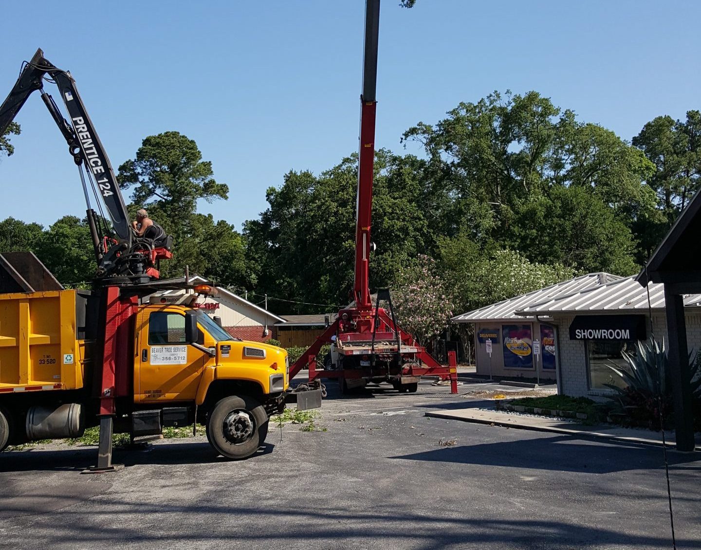 Tree service equipment, including a crane and truck, is actively working near a showroom in a commercial setting.