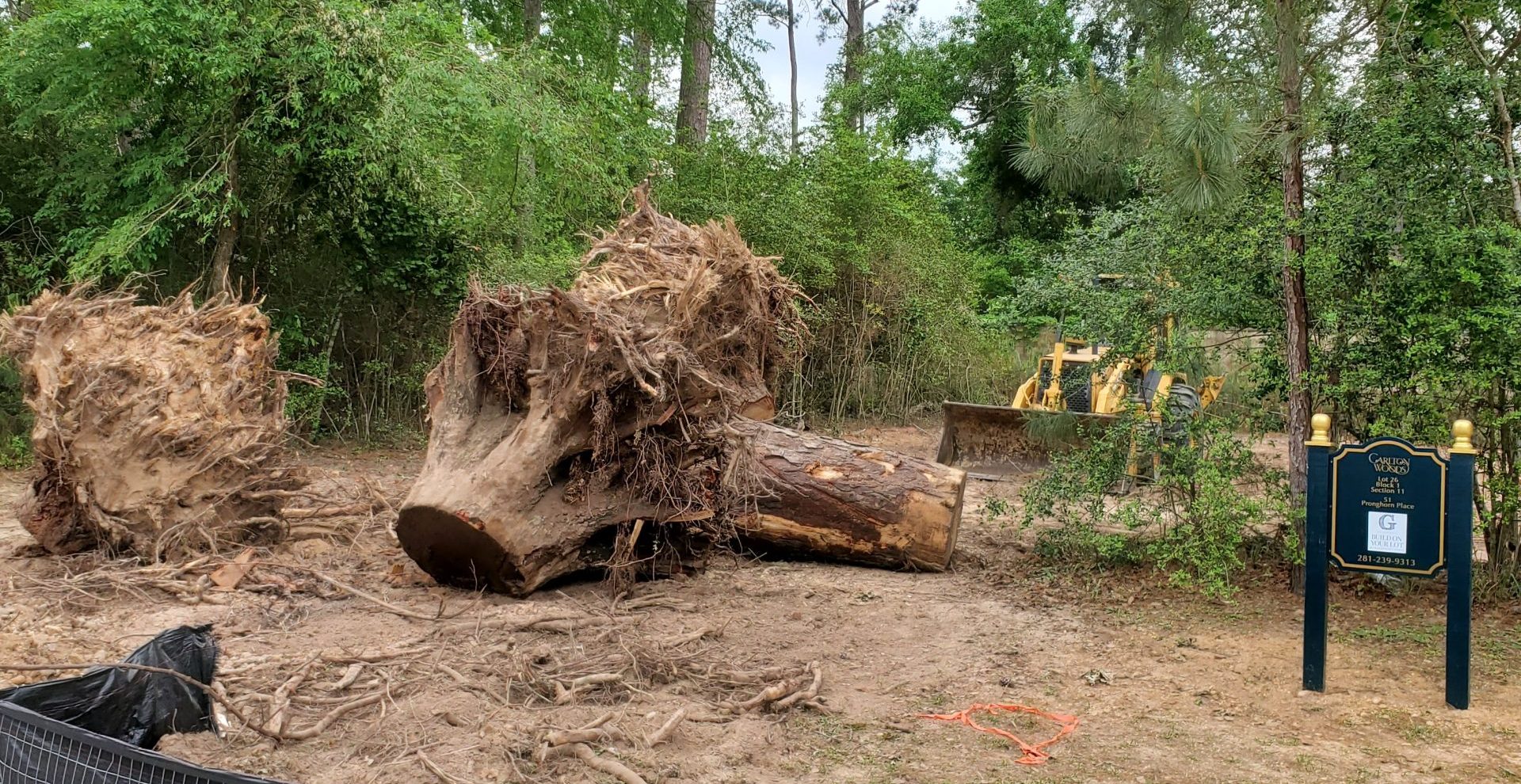 Tree stumps and roots are cleared from a site in Magnolia, TX, with heavy machinery visible in the background.