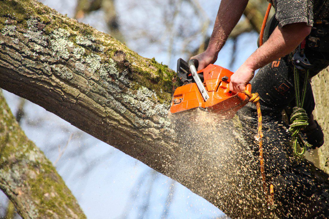 Beaver Tree Service Inc flyer with QR code and thank you message