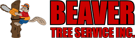 Beaver Tree Service company logo, red text version