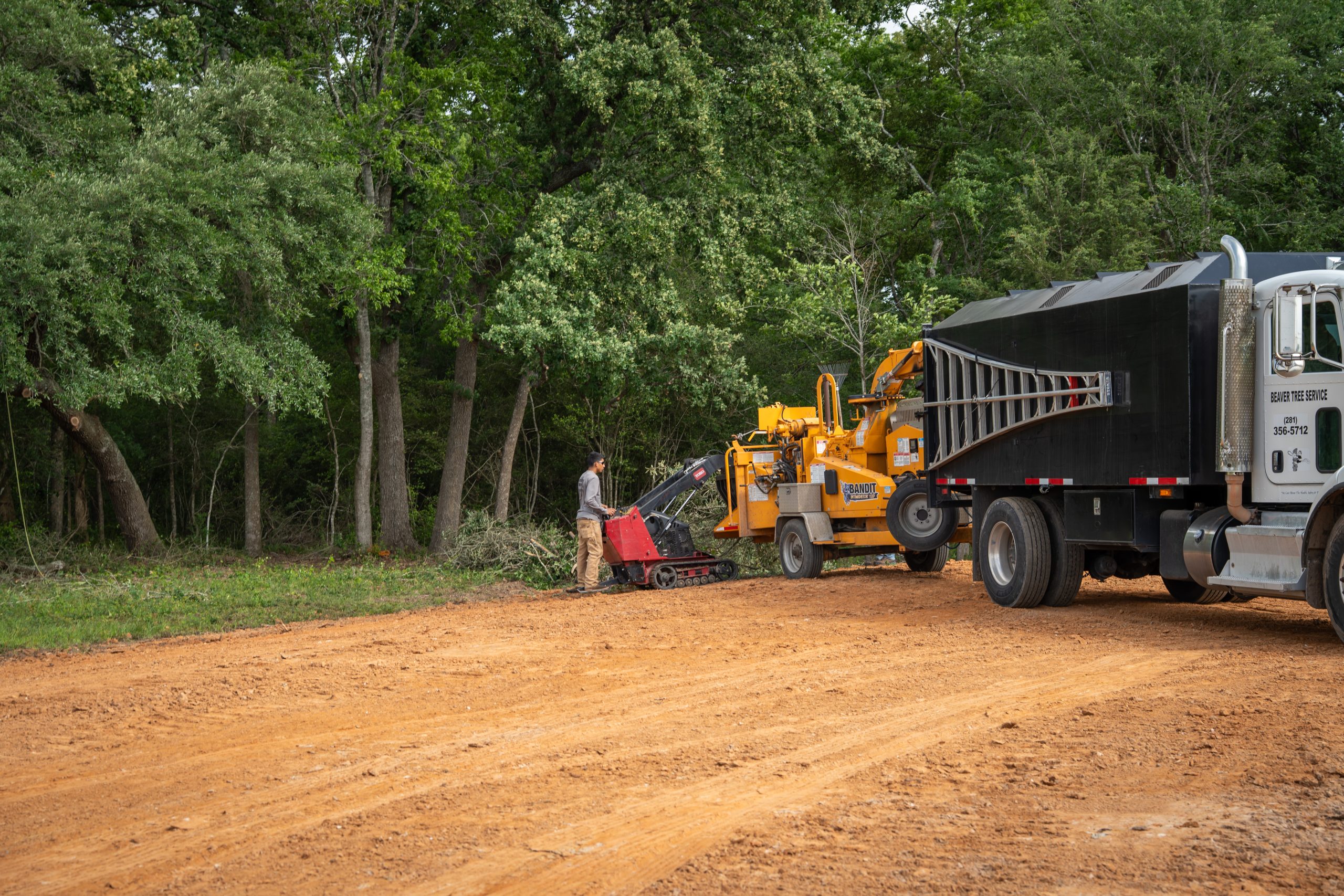 A worker operates a land clearing machine near a truck and wood chipper in a forested area.