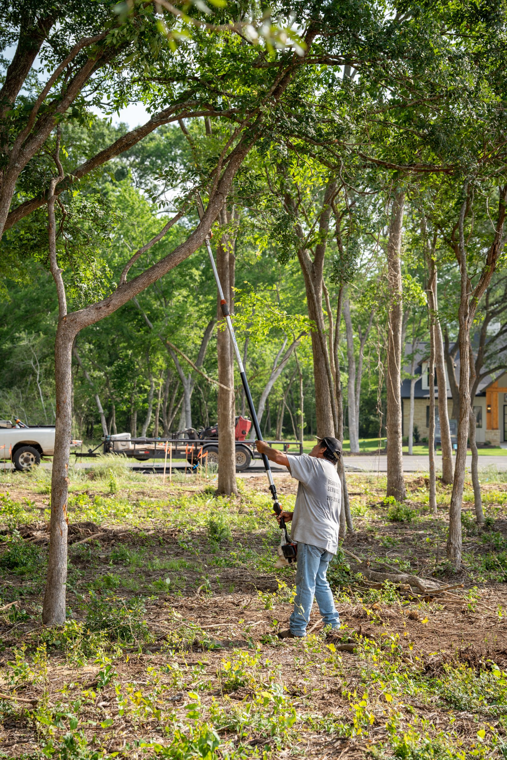 A tree service crew member works among trees in a wooded lot near a parked truck.